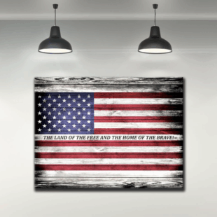 Canvas Wall Art Home Decor Gift American Land Of The Free Flag CVS46